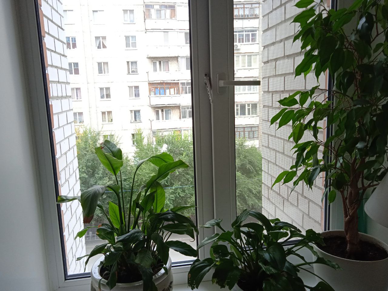 https://derbent.delaem-okna.ru/storage/app/uploads/public/63f/332/8c0/63f3328c0d6f7867060515.jpg